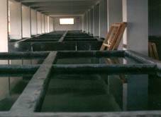 Yavru balık üretim havuzu ısıtması